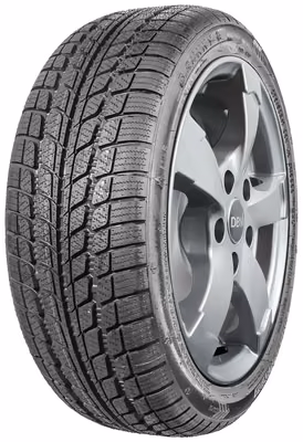SUNNY NW103 195/65R16C 104T 3PMSF
