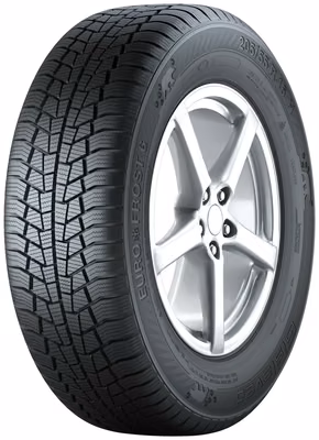 GISLAVED Euro Frost 6