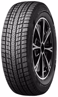 ROADSTONE Winguard Ice Suv