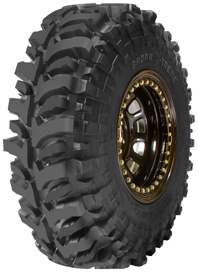 ACCELERA BADAK X-TREME