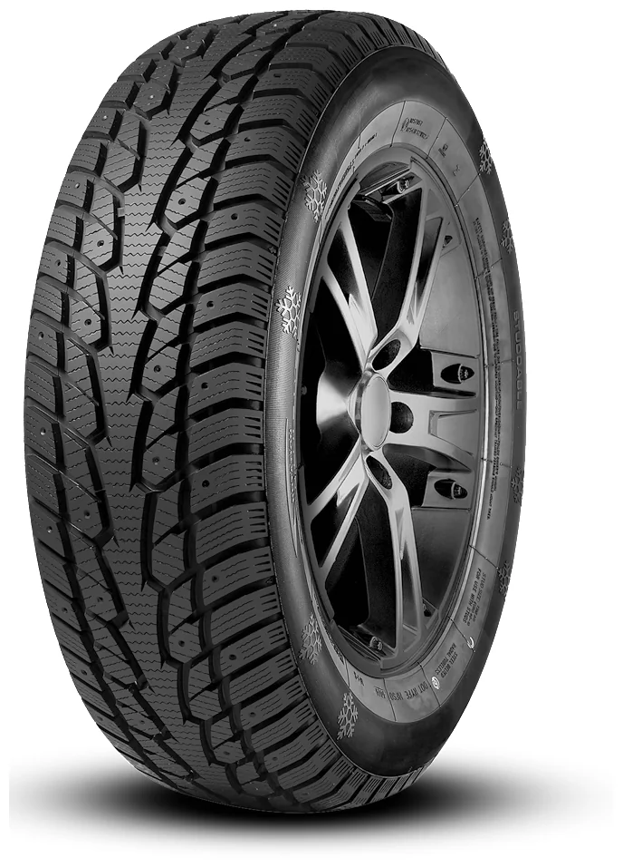 ECOVISION W686 195/65R15 91T 3PMSF Studded