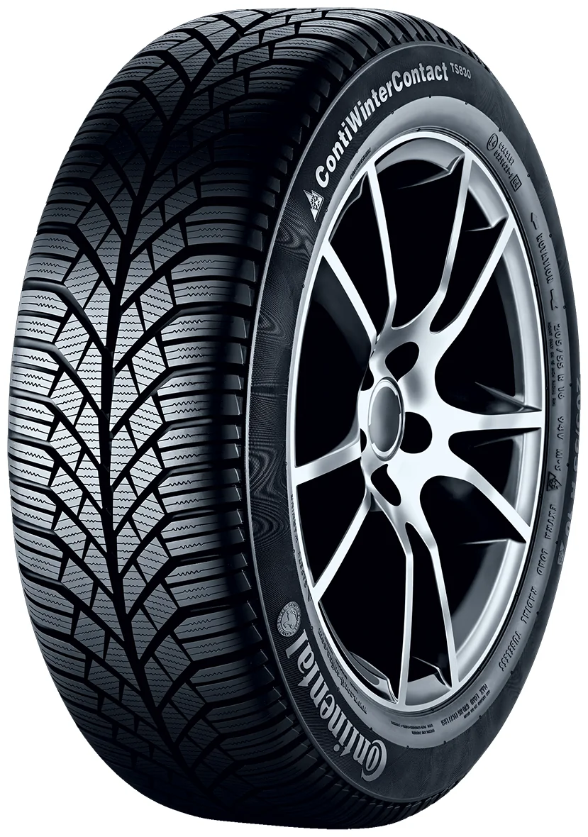 CONTINENTAL CWC TS 830 225/55R17 101V